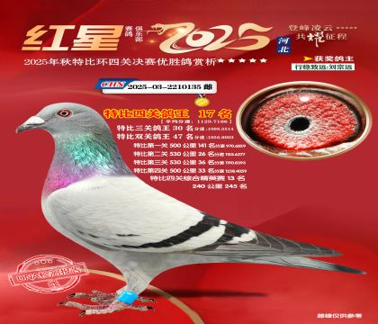 �����ر��Ĺظ���17��