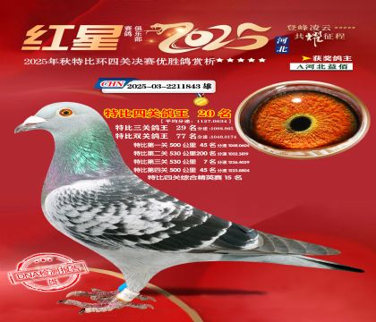 �����ر��Ĺظ���20��