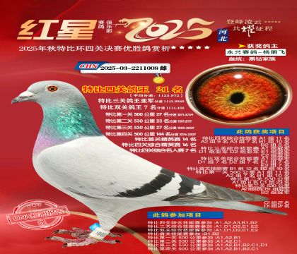 �����ر��Ĺظ���21��