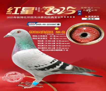 �����ر��Ĺظ���22��