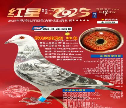 �����ر��Ĺظ���26��