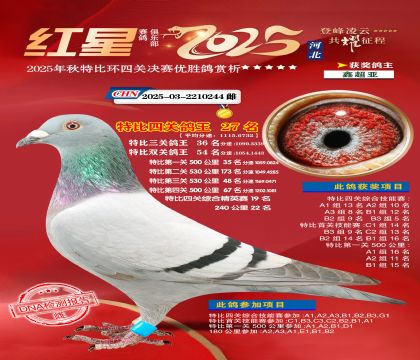 �����ر��Ĺظ���27��