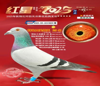 �����ر��Ĺظ���29��