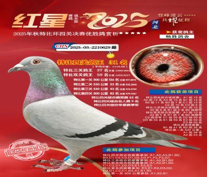 �����ر��Ĺظ���31��