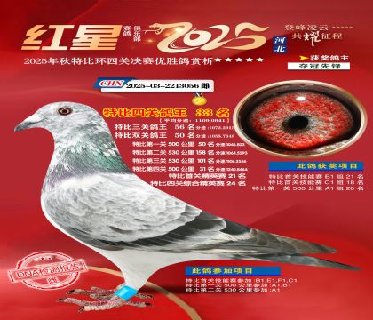 �����ر��Ĺظ���33��