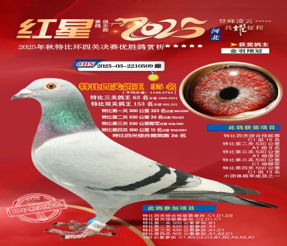 �����ر��Ĺظ���35��