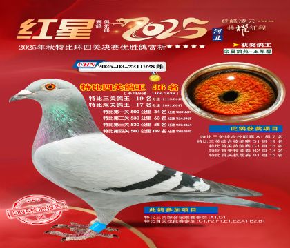 �����ر��Ĺظ���36��