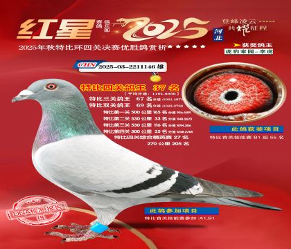 �����ر��Ĺظ���37��