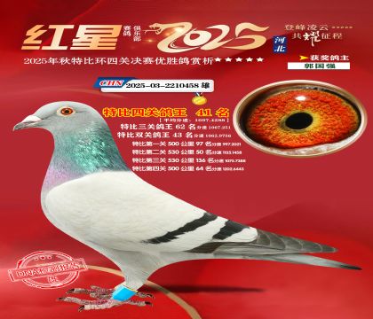 �����ر��Ĺظ���41��