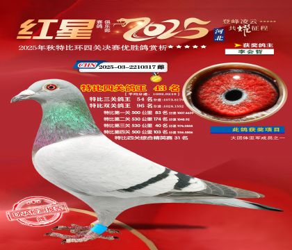 �����ر��Ĺظ���43��