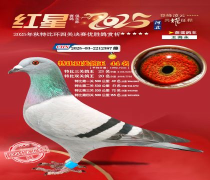 �����ر��Ĺظ���44��