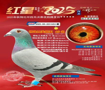 �����ر��Ĺظ���46��