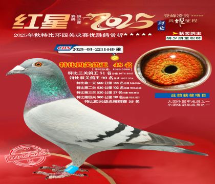 �����ر��Ĺظ���48��