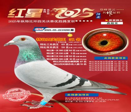 �����ر��Ĺظ���51��