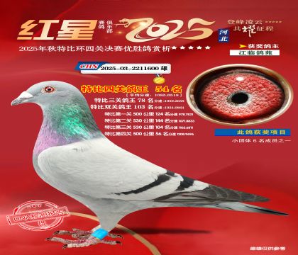 �����ر��Ĺظ���54��