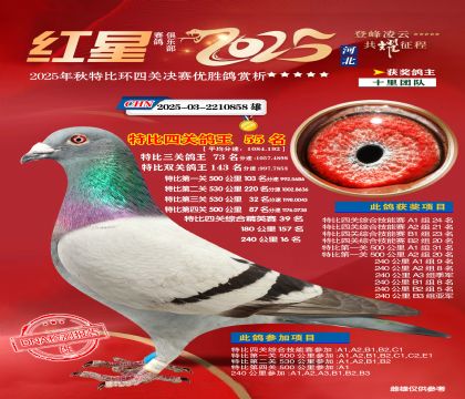 �����ر��Ĺظ���55��