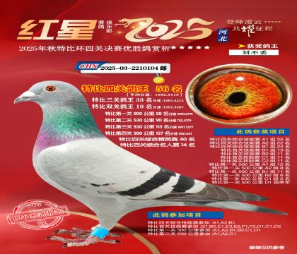 �����ر��Ĺظ���56��