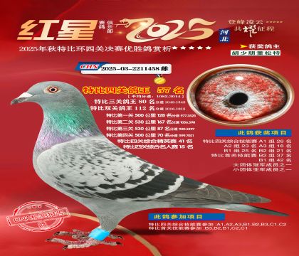 �����ر��Ĺظ���57��