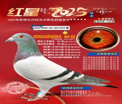 �����ر��Ĺظ���58��