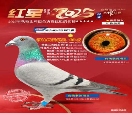 �����ر��Ĺظ���60��