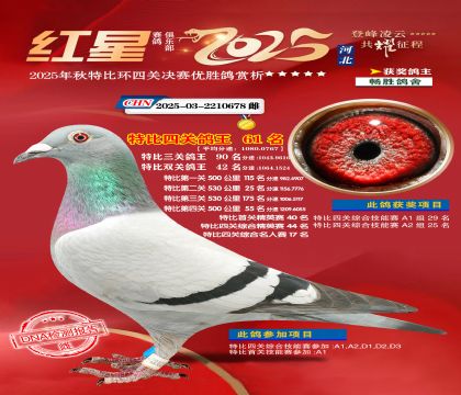 �����ر��Ĺظ���61��