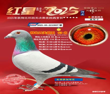 �����ر��Ĺظ���63��