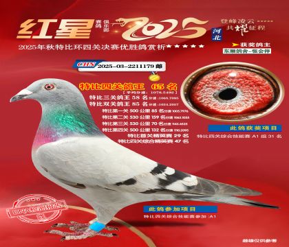 �����ر��Ĺظ���65��