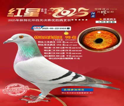 �����ر��Ĺظ���70��