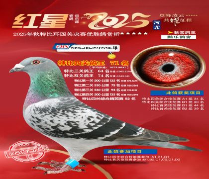 �����ر��Ĺظ���71��