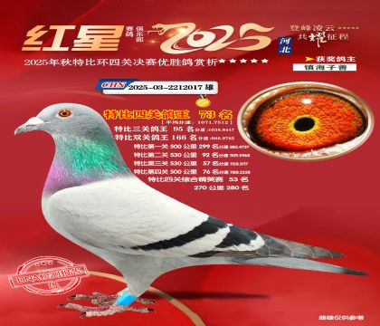 �����ر��Ĺظ���73��