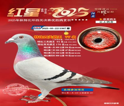 �����ر��Ĺظ���77��