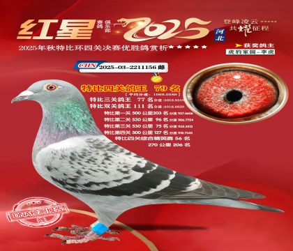 �����ر��Ĺظ���79��