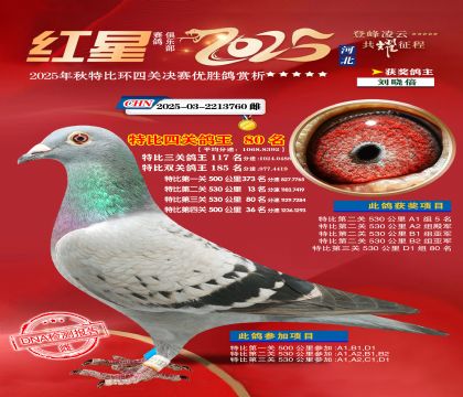 �����ر��Ĺظ���80��