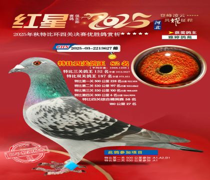 �����ر��Ĺظ���82��