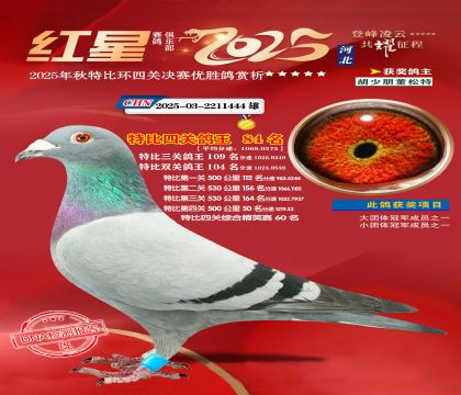 �����ر��Ĺظ���84��