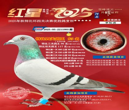 �����ر��Ĺظ���85��