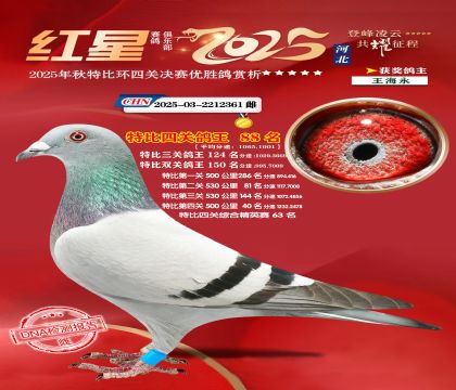 �����ر��Ĺظ���88��