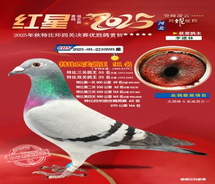 �����ر��Ĺظ���91��