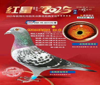 �����ر��Ĺظ���94��