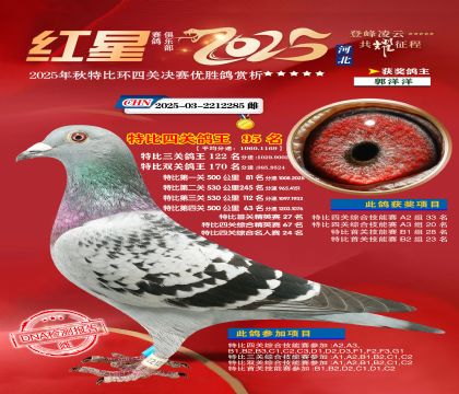 �����ر��Ĺظ���95��