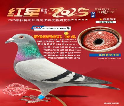 �����ر��Ĺظ���96��