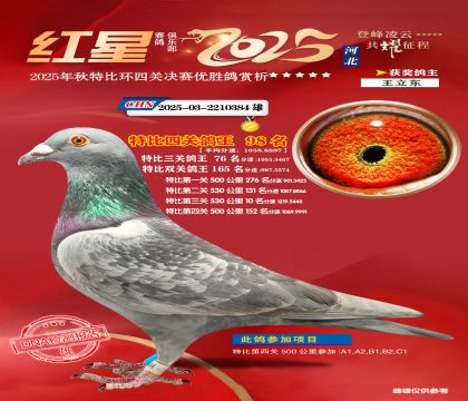 �����ر��Ĺظ���98��