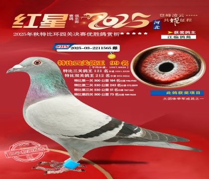 �����ر��Ĺظ���99��