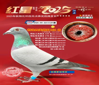 �����ر��Ĺظ���101��