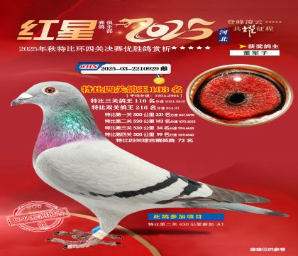 �����ر��Ĺظ���103��