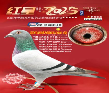 �����ر��Ĺظ���104��