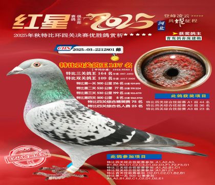 �����ر��Ĺظ���107��