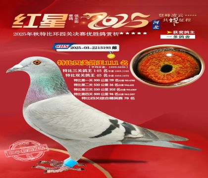 �����ر��Ĺظ���111��