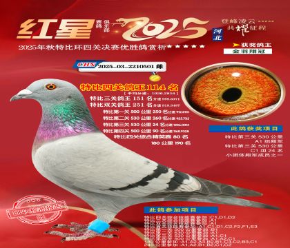 �����ر��Ĺظ���114��