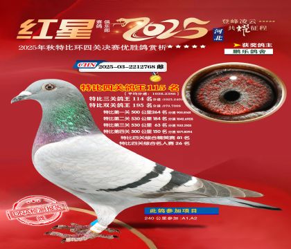 �����ر��Ĺظ���115��